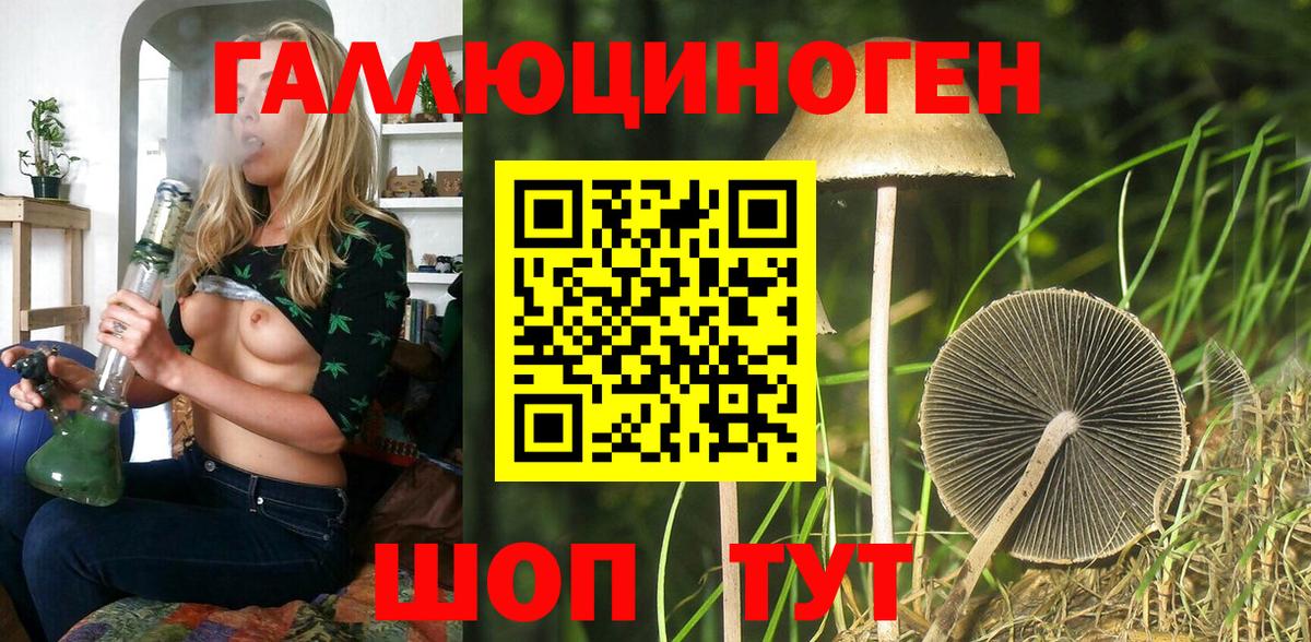 Галлюциногенные грибы Cubensis  Галлюциногенные грибы GOLDEN TEACHER  Вход с VPN  Карачаевск 